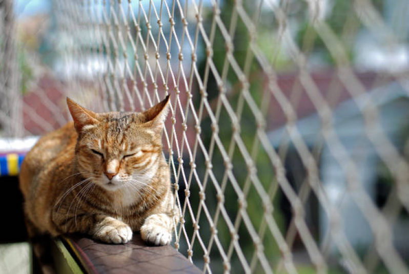 Instalação de Rede de Proteção para Animais de Estimação Bongi - Rede de Proteção Removível para Gatos