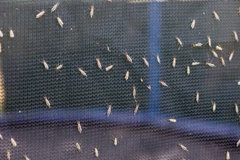 Instalação de Telas contra Mosquito para Portas Torreões - Telas contra Mosquito para Portas