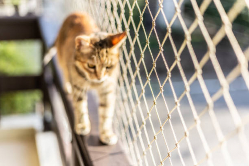 Loja de Proteção com Telas para Gatos Campo Grande - Telas Protetivas para Gatos