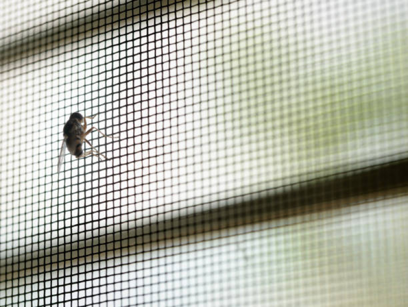 Onde Encontrar Telas contra Mosquito para Portas Casa Forte - Tela contra Mosquito
