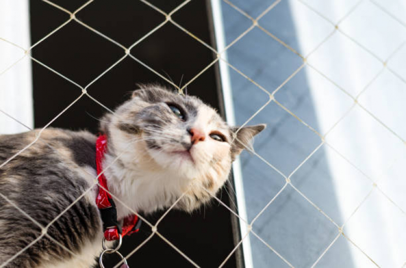 Proteção com Tela para Gato Orçamento Campo Grande - Proteções com Telas para Gatos