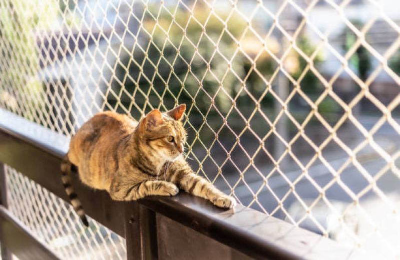Proteção com Telas para Gatos Orçar Jardim Atlântico - Tela Protetiva Gato