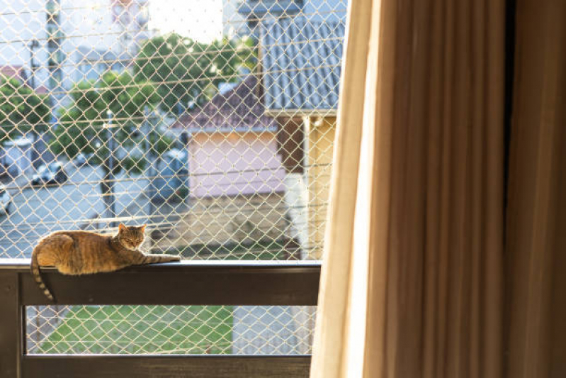 Proteções com Telas para Gatos Orçar Tamandaré - Tela Protetiva Gato