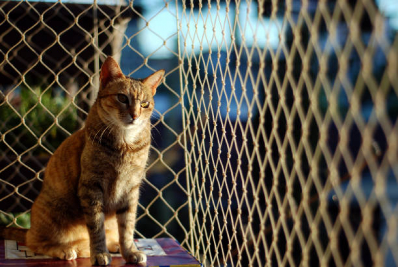 Rede de Proteção para Varandas Instalação Limoeiro - Rede Proteção para Gatos