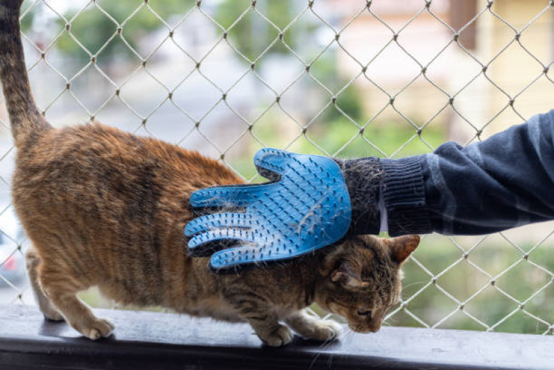 Rede de Proteção Removível para Gatos Orçamento Derby - Rede de Proteção Pet