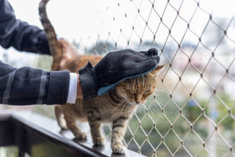 Rede de Proteção Removível para Gatos Bairro Novo - Rede Protetora de Animais