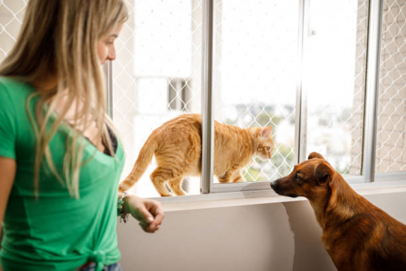 Serviço de Proteção com Tela para Gato Pina - Tela Protetiva Gato