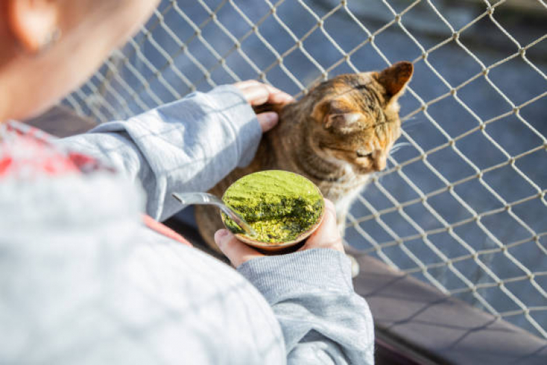 Tela Protetiva Gato Orçar Tamandaré - Proteção com Telas para Gato