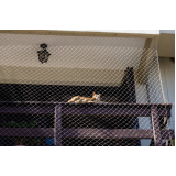 instalação de rede de proteção removível para gatos Casa amarela