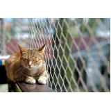 instalação de rede para proteção de gatos Carneiros