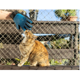 onde comprar rede de proteção removível para gatos Torreões