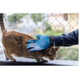rede de proteção removível para gatos orçamento Ilha do Leite
