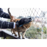 rede de proteção removível para gatos Ilha do Retiro