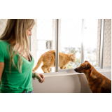serviço de proteção com tela para gato Tamarineira