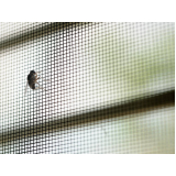 tela mosquiteira janela Dois irmãos
